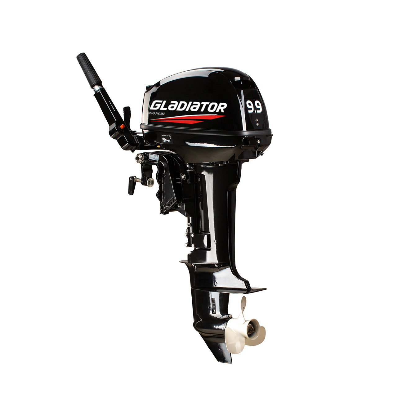 ЛОДОЧНЫЙ МОТОР GLADIATOR G9.9FHS в Серпухове