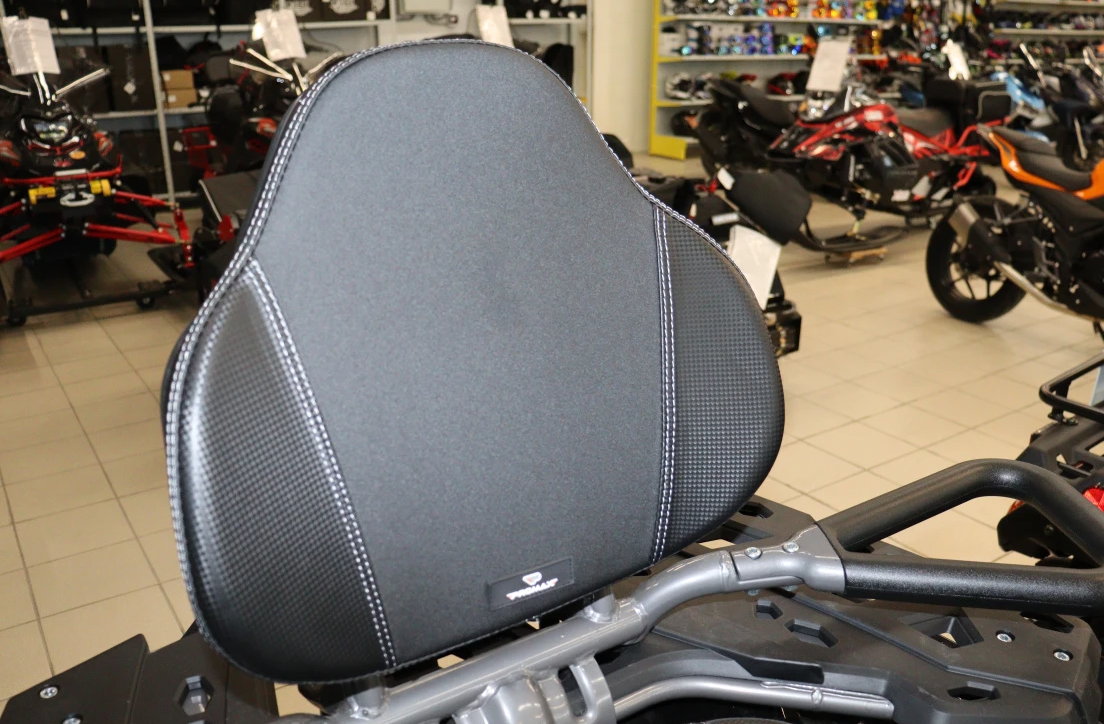 Квадроцикл PROMAX RENEGADE 300 LONG WINCH PRO (2025) в Серпухове