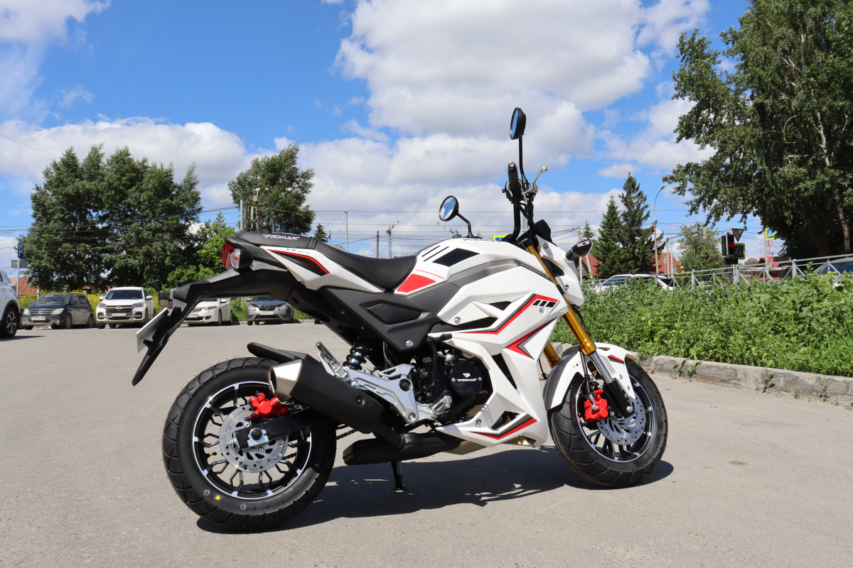 Мотоцикл PROMAX STRYKER 200(49) 2.0 в Серпухове