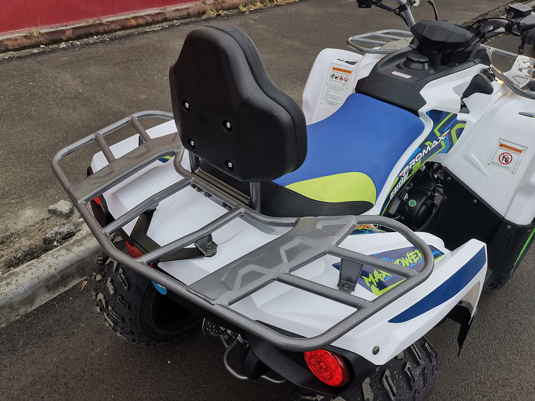Квадроцикл PROMAX RENEGADE 280 LUX (2025) в Серпухове