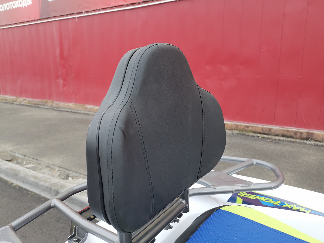 Квадроцикл PROMAX RENEGADE 280 LUX (2025) в Серпухове