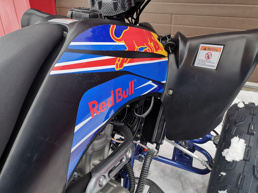Квадроцикл PROMAX RAPTOR 300 NEW RedBull в Серпухове