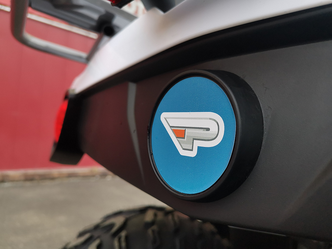 Квадроцикл PROMAX RENEGADE 280 LUX (2025) в Серпухове