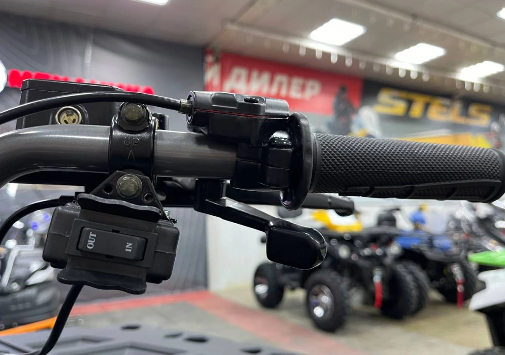 Квадроцикл PROMAX RENEGADE 300 LONG WINCH PRO (2025) в Серпухове