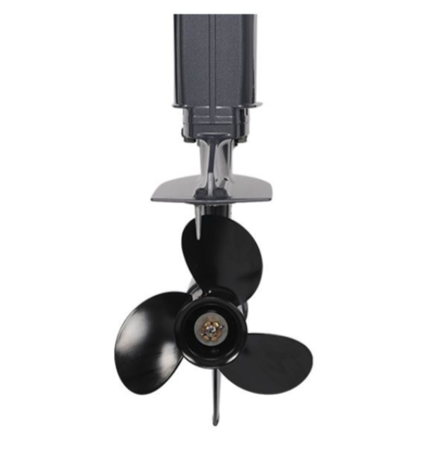 Лодочный мотор ALLFA CG Т40FW S в Серпухове