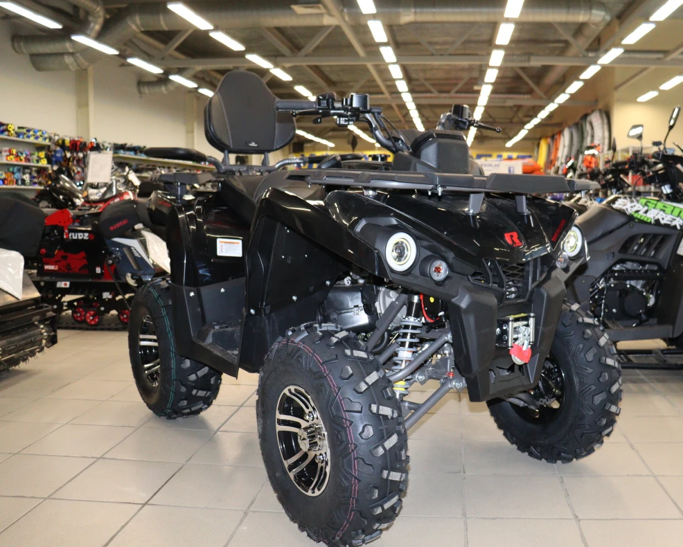 Квадроцикл PROMAX RENEGADE 300 LONG WINCH PRO (2025) в Серпухове
