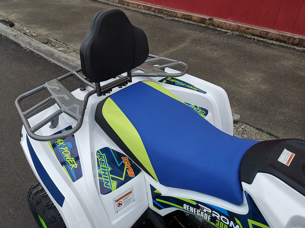 Квадроцикл PROMAX RENEGADE 280 LUX (2025) в Серпухове
