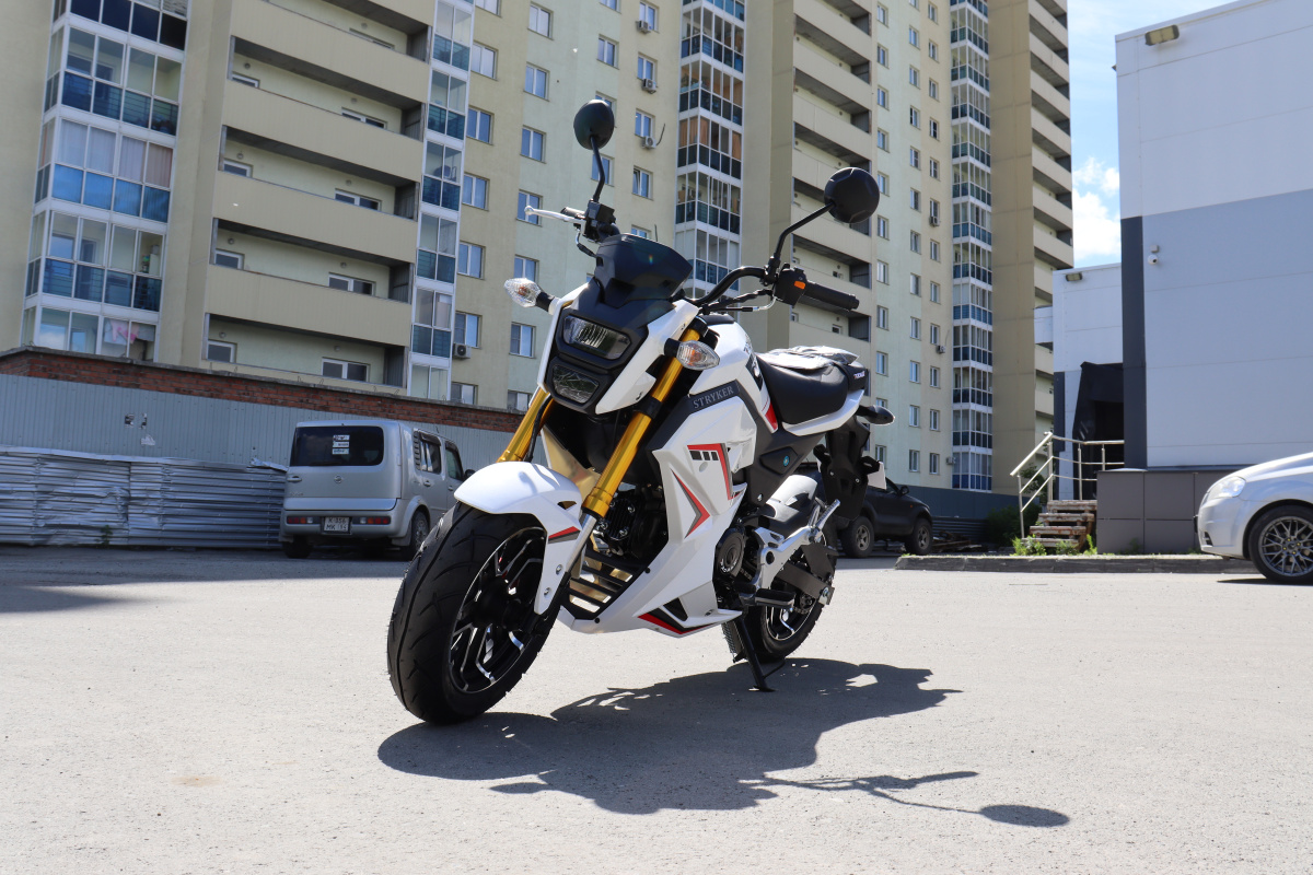 Мотоцикл PROMAX STRYKER 200(49) 2.0 в Серпухове