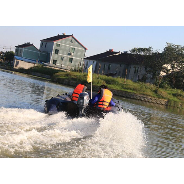 ЛОДОЧНЫЙ МОТОР ALLFA CG Т20 в Серпухове