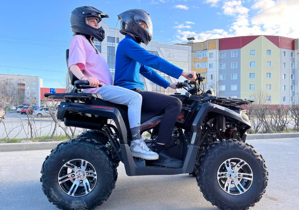 Квадроцикл PROMAX RENEGADE 300 LONG WINCH PRO (2025) в Серпухове