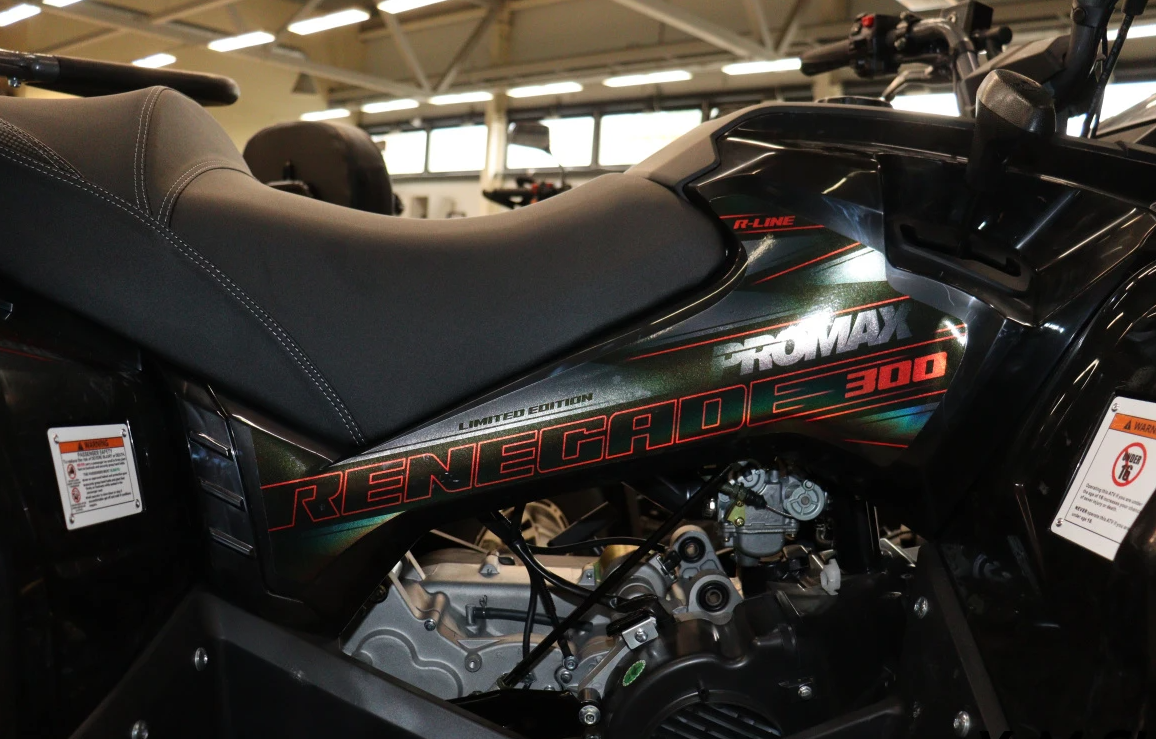 Квадроцикл PROMAX RENEGADE 300 LONG WINCH PRO (2025) в Серпухове