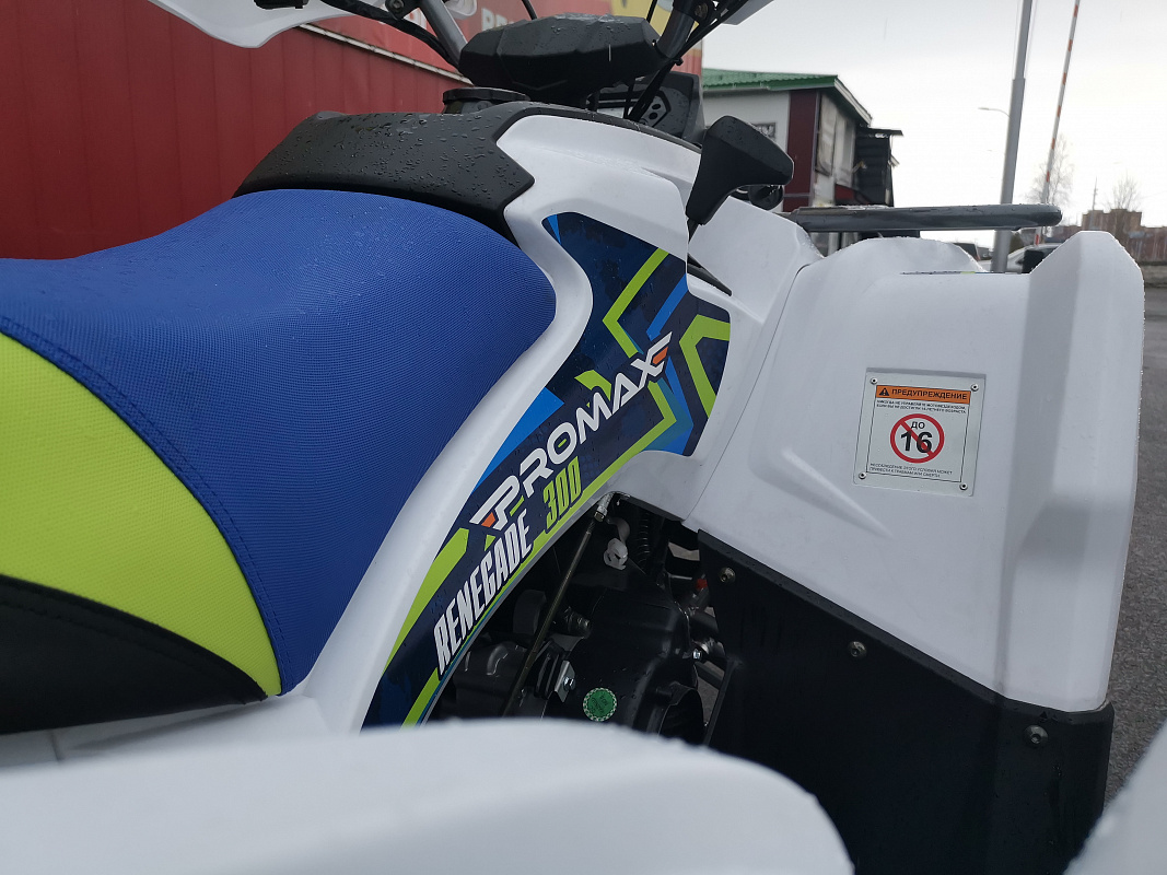 Квадроцикл PROMAX RENEGADE 280 LUX (2025) в Серпухове
