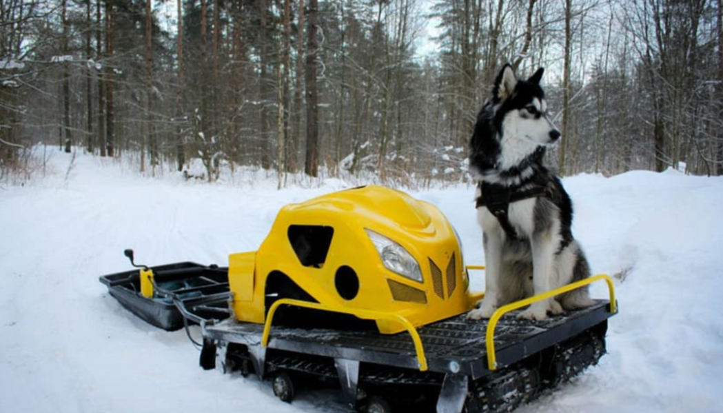 Мотобуксировщик LEBEDEV MOTORS ВОЛКОДАВ POWER V13 в Серпухове