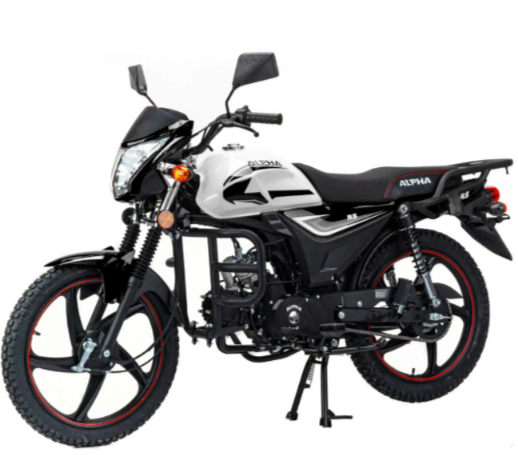 Мопед MOTOLAND (МОТОЛЕНД) Альфа RS 11 (LM48-B) в Серпухове