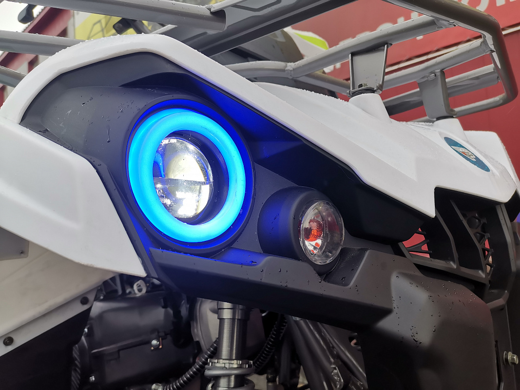 Квадроцикл PROMAX RENEGADE 280 LUX (2025) в Серпухове