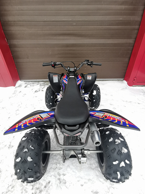 Квадроцикл PROMAX RAPTOR 300 NEW RedBull в Серпухове