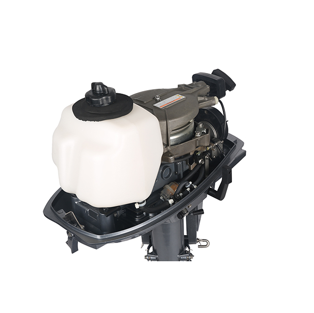 ЛОДОЧНЫЙ МОТОР ALLFA CG T5 в Серпухове