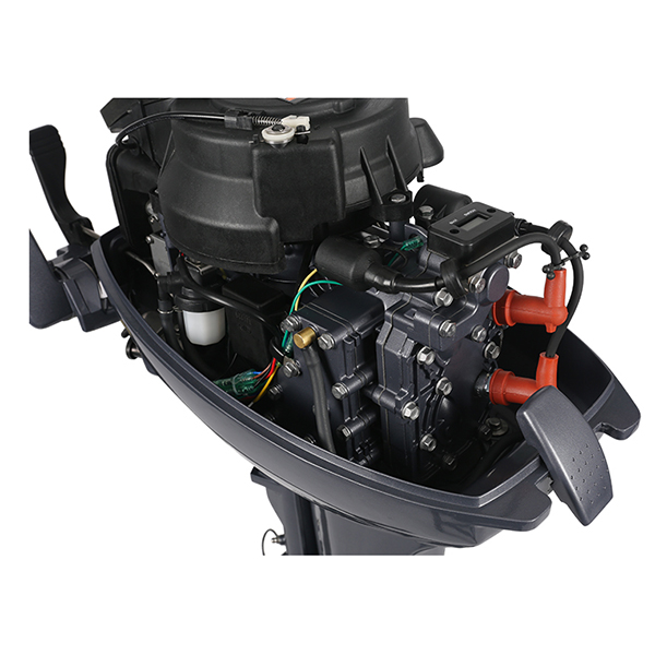 ЛОДОЧНЫЙ МОТОР ALLFA CG Т9,9 в Серпухове