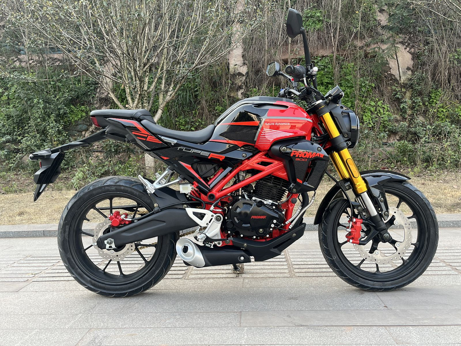 Мотоцикл PROMAX CB300 в Серпухове