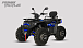 Квадроцикл PROMAX TAURUS 300 MAX-PRO LONG в Серпухове