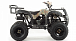 Квадроцикл MOTOLAND (МОТОЛЕНД) 200 ALL ROAD в Серпухове