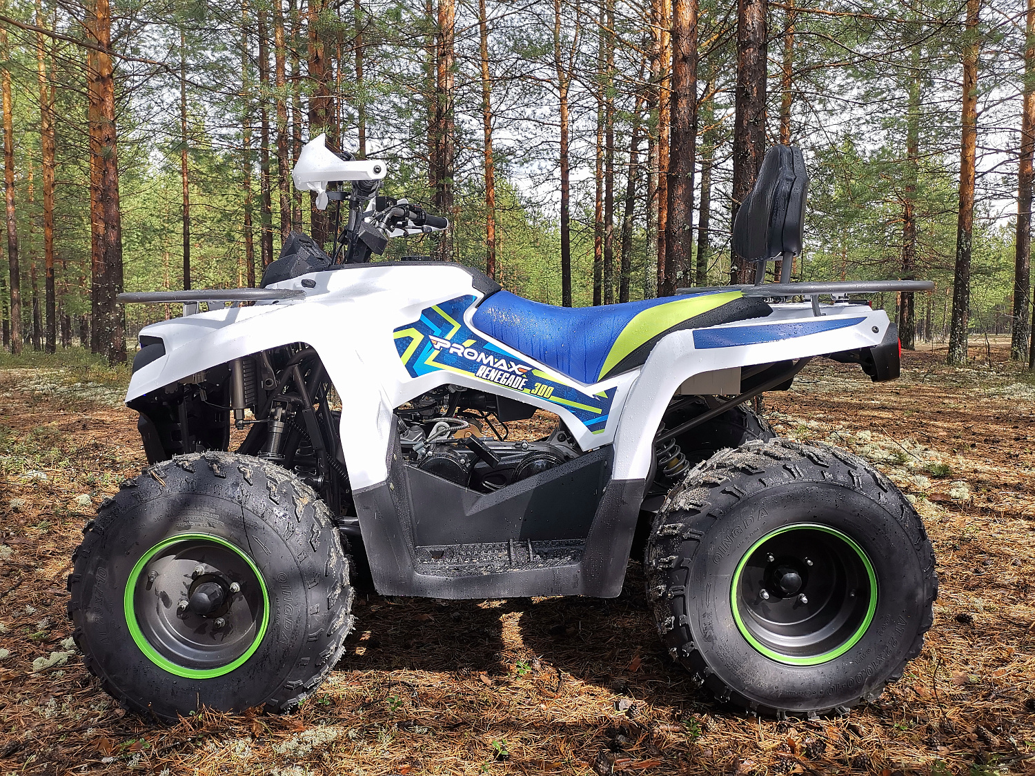 Квадроцикл PROMAX RENEGADE 280 (2025) в Серпухове