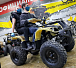 Квадроцикл PROMAX ATV 250 (2025) в Серпухове