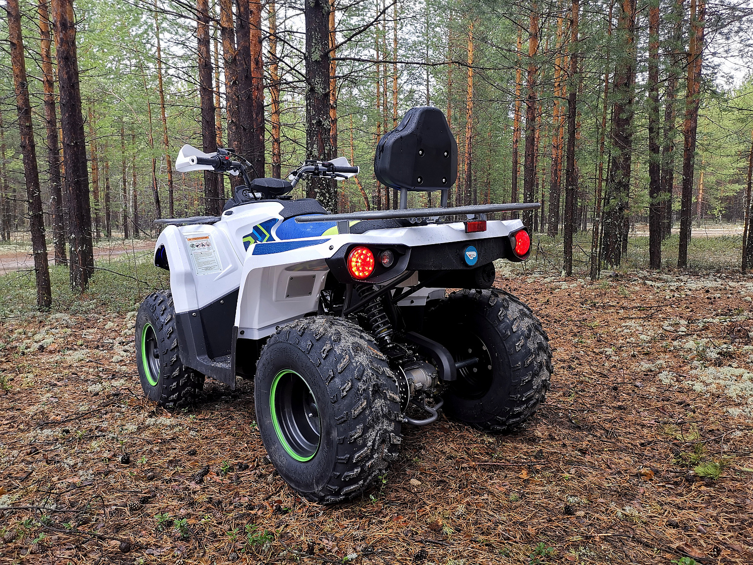 Квадроцикл PROMAX RENEGADE 280 (2025) в Серпухове