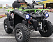 Квадроцикл PROMAX RENEGADE 280 WINCH PRO (2025) в Серпухове