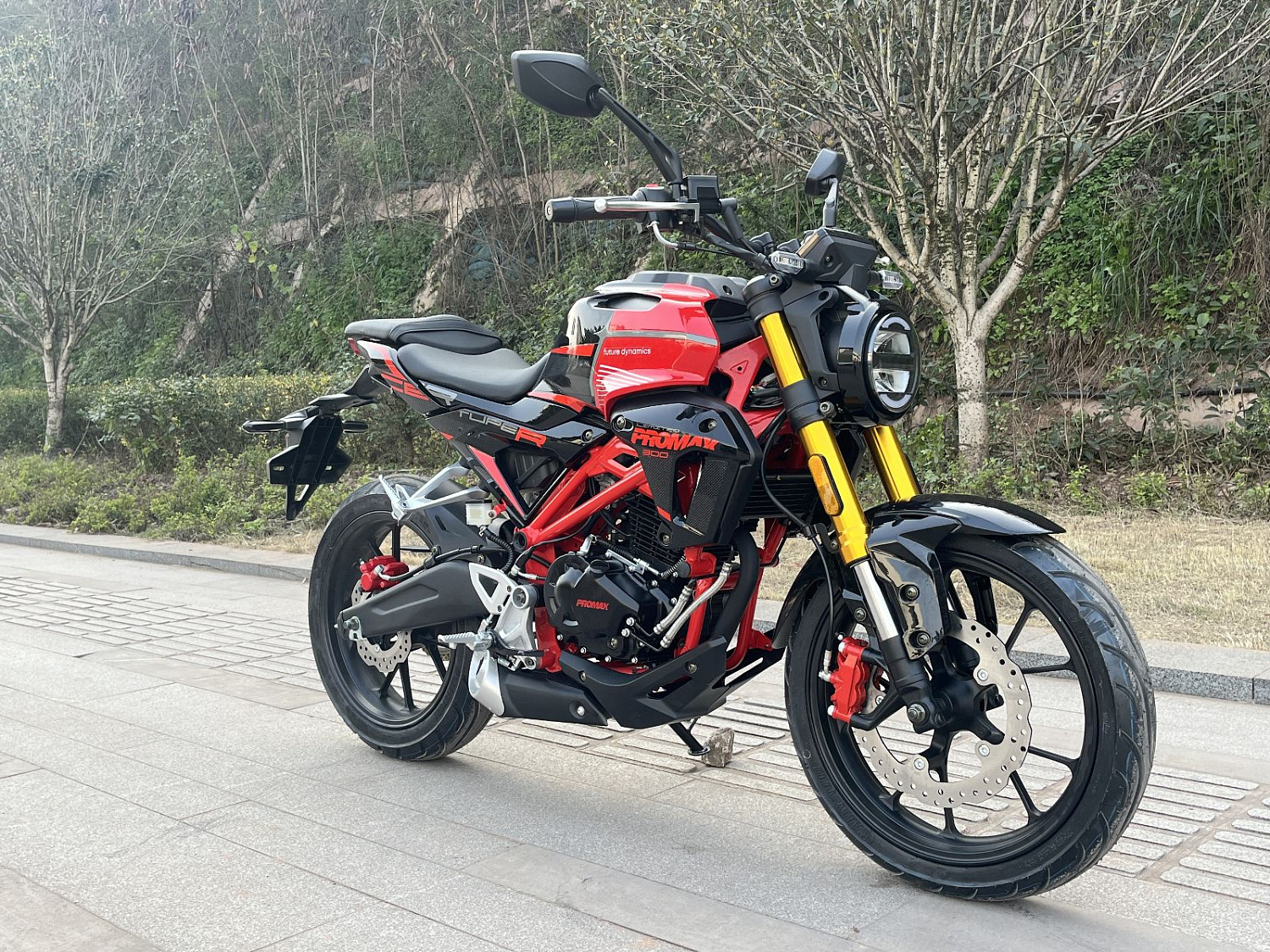 Мотоцикл PROMAX CB300 в Серпухове