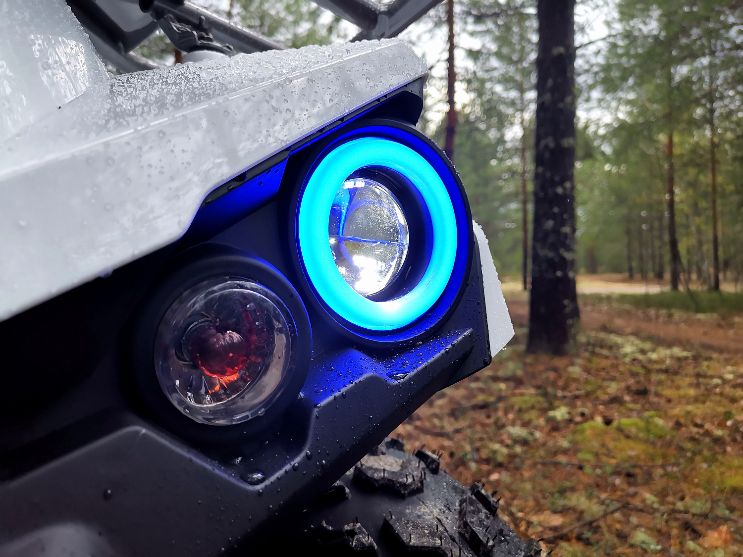 Квадроцикл PROMAX RENEGADE 280 (2025) в Серпухове