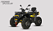 Квадроцикл PROMAX TAURUS 300 MAX-PRO LONG в Серпухове
